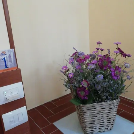 Flavio * Поццуоли