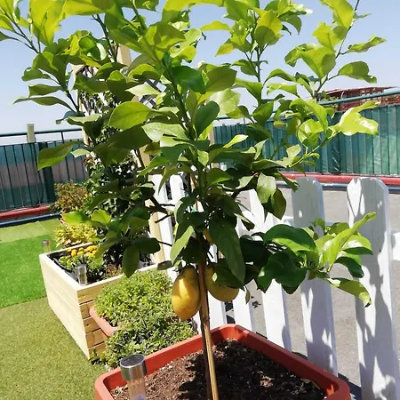 Flavio Дом отдыха