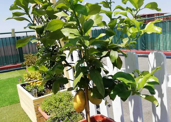 Flavio Alojamento de Acomodação e Pequeno-almoço